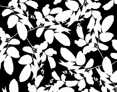 Le Matisse 4 abstract botanical art botanical illustration design floral flower illustration pattern pattern design pattern designer