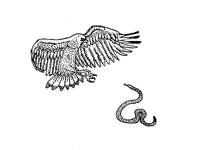 Swift bird doodle drawing eagle illustration snake