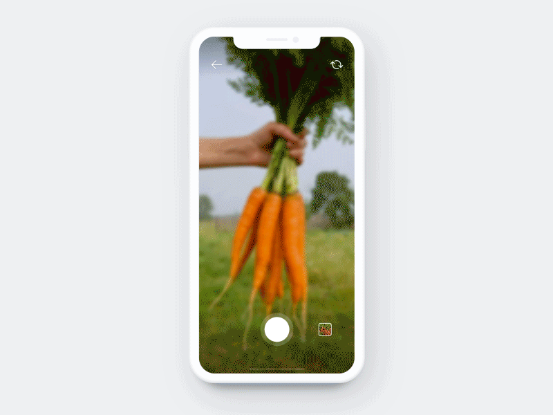 Veggie Story (Camera) app app concept camera carrot character farm kids principle sketch ui uidesign vegetable