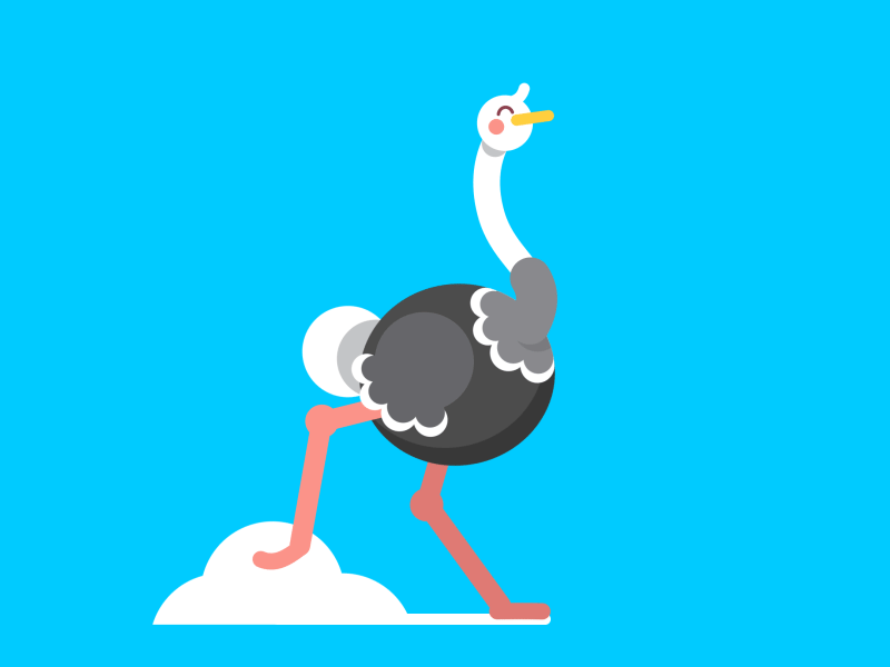 Running Ostrich animal animation cute design funny gif illustration motion ostrich run running