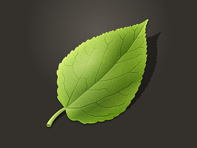 Mobile Shaky Leaf Icon ancestry icon illustration leaf shaky