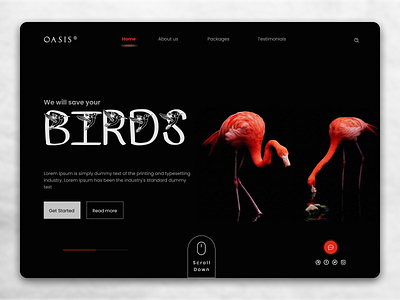 Birds Store UI Design