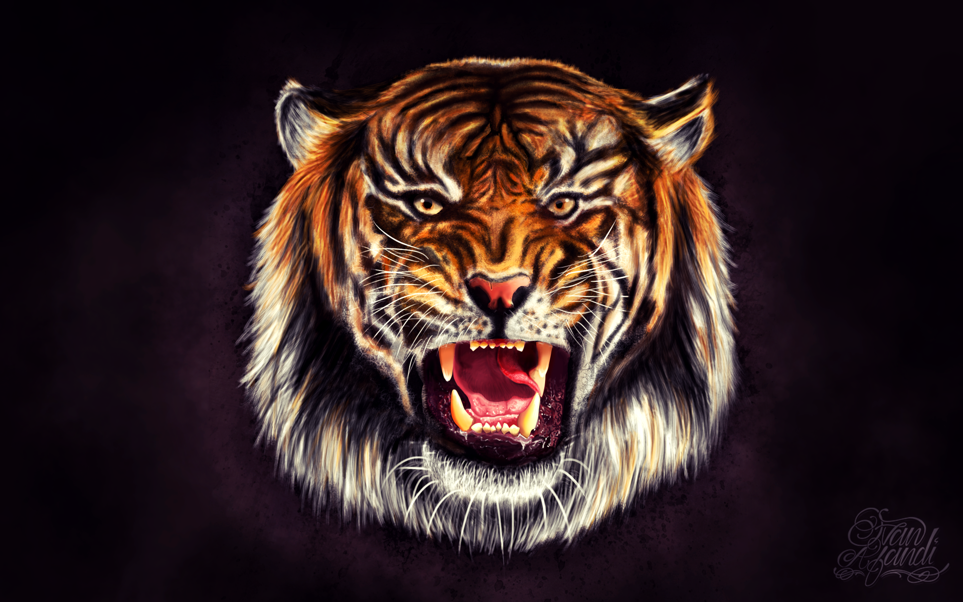 Tiger Wallpaper by Ivan Afandi on Dribbble