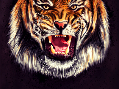 tiger face wallpaper for iphone