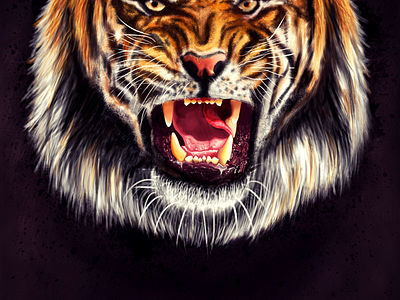 Tiger Wallpaper By Ivan Afandi On Dribbble