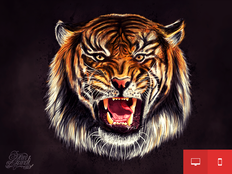 Angry Tiger 1176 HD wallpaper