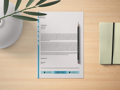 Letterhead Template branding branding design brochure business flyer design flyers graphic design graphicdesign letter letterhead letterhead design letterhead template lettering logo templates