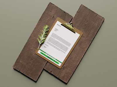 Letterhead Template branding branding design brochure business flyer design flyers graphicdesign letter letterhead letterhead design letterhead template lettering logo motion graphics template templates