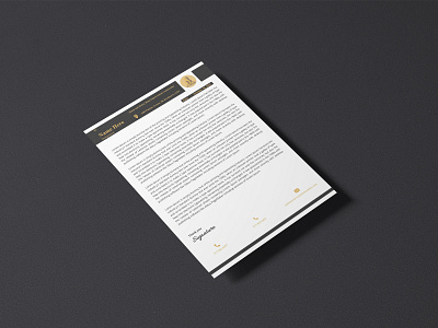 Digital Letterhead Template branding branding design brochure business business flyer corporate design digital digital letter digital letterhead flyers graphicdesign illustration letter letterhead letterhead design letterhead template lettering logo templates