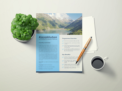 Flyer Design branding branding design brochure brochure template brochures business flyer corporate corporate flyer design flyer flyer design flyer template flyers graphicdesign illustration logo templates