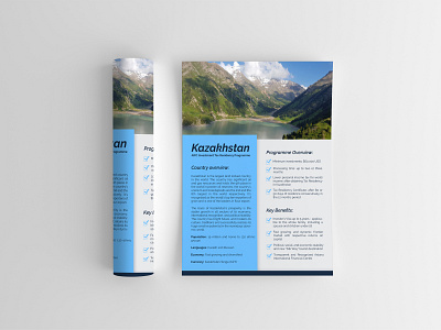 Flyer Design branding branding design brochure brochure design brochure templates brochures business flyer corporate flyer design flyer flyer design flyer template flyers graphicdesign illustration logo templates