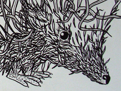 Grasegel drawing grass hedgehog wall