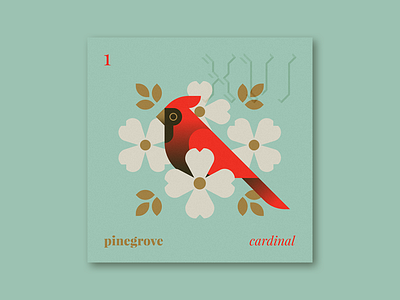 Five Sixteen — Pinegrove "Cardinal" album album art art bird cardinal flowers illustration music nature series