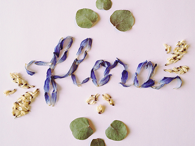 Hand made lettering "flora" flowers hand made lettering petals typography