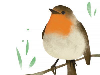 Little Robin bird bird illustration illustration nature illustration robin texture