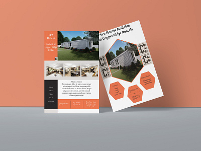 Housing Poster design flyer design illustration print design promotional design