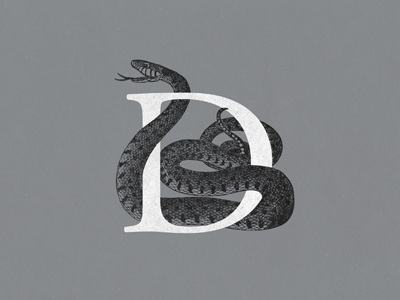 D illustration typography