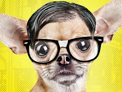 Nerdog web character dog nerd website photoshop