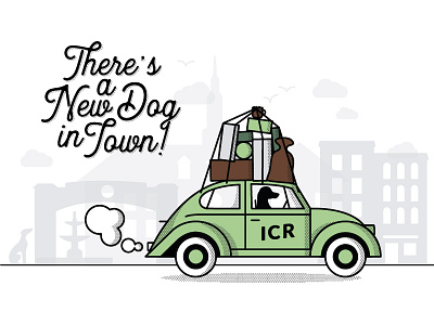 Indie Coffee Roasters New Dog in Town Campaign boxes bug carmel coffee dachshund indiana indie coffee moving new vw