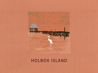 The Island Fever Series: Holbox Island branding design editorial design graphic design illustration island logo picture book procreate travel