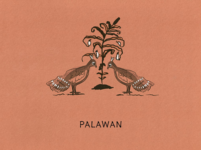 The Island Fever Series: Palawan travel logo island branding graphic design illustration picture book editorial design design