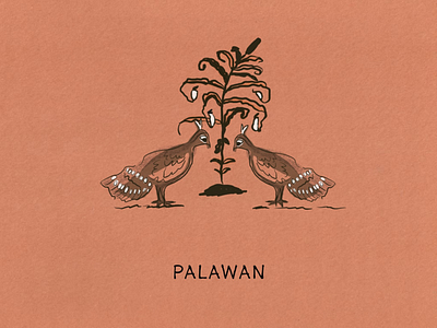 The Island Fever Series: Palawan