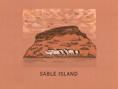 The Island Fever Series: Sable Island travel logo island graphic design branding illustration picture book editorial design design