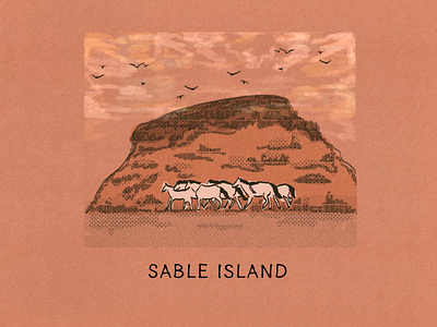 The Island Fever Series: Sable Island