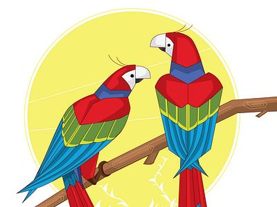 MACAW