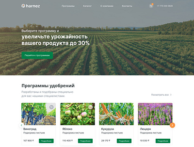 HARNEZ - интернет-магазин для агропромышленности design illustration typography ui ux