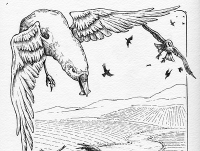 The Soils - Birds animal black and white illustration pen and ink