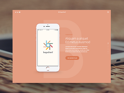 BEPATIENT Website Concept
