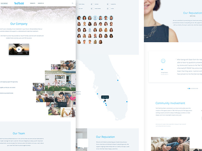 Ted Todd Insurance Designs Themes Templates And Downloadable Graphic Elements On Dribbble