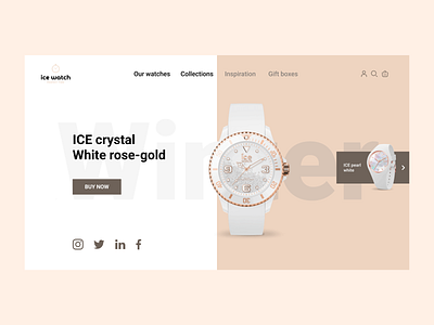 ICE watch redesign landing page design ui ux