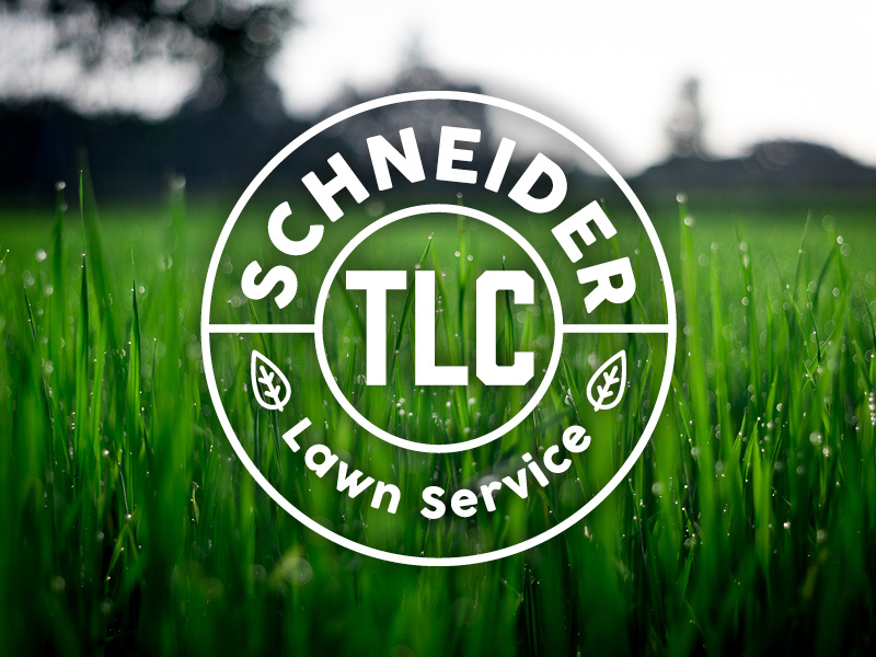 Schneider Lawn Service kansas wichita identity brand logo green services care yard grass lawn