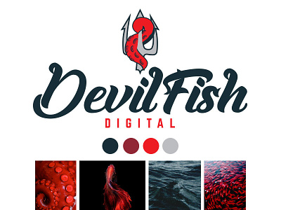 DevilFish Digital art brand design devilfish digital fish identity logo wichita
