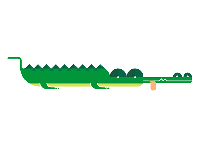 Crocodile