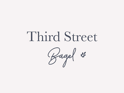 Third Street Bagel bagel bagels cafe food restaurant shop wheat