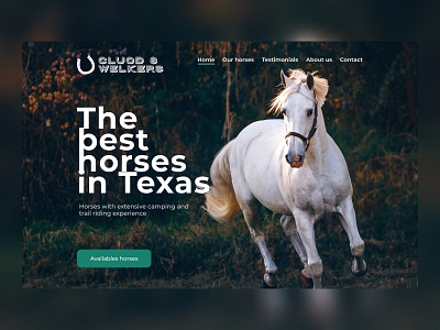 Homepage Hero - Horse sales page