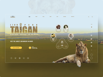 Taigan dribbble