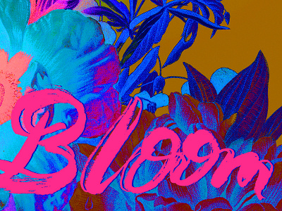 Bloom bloom blue gold hand drawn lettering neon pink spring typography