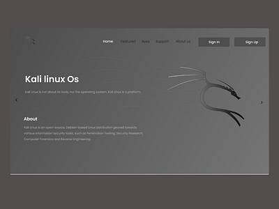 UI Linux header app design ui ux website