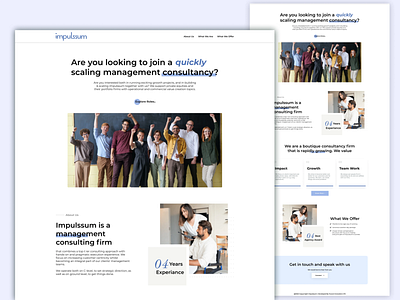 MANAGEMENT CONSULTING FIRM LANDING PAGE