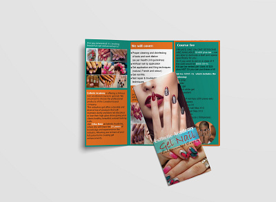 Trifold brochure/ Brochure design/ brochure/ attractive design/ bifold design brochure brochure design creative desing designer graphic designer illustrator photoshop trifold brochure