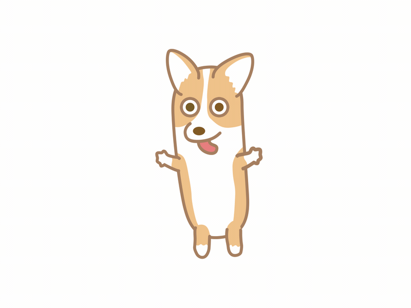 Corgi Jump corgi deekay dog