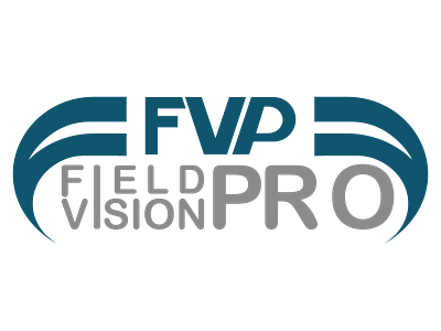 vision logo design