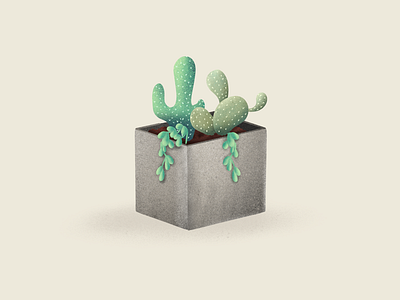 Cactus 003