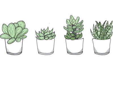 How To Draw A Pot Plant (Step By Step Drawing Tutorial) - Bujo Babe