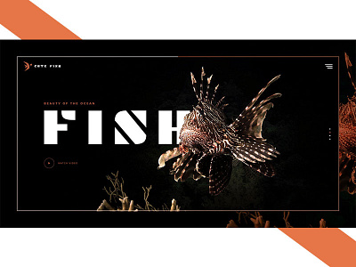 CUTE FISH-Beauty of the Ocean design design art flat minimal minimalist ui ui design ux web webdesign website design