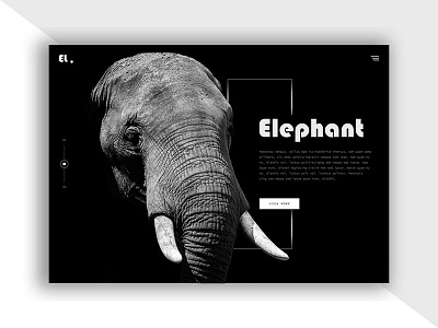 El-Nature's great masterpiece, an elephant. design flat minimal minimalist typography ui design ux web webdesign website design